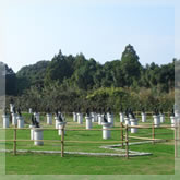 龍昇院 八十八ヶ所巡拝